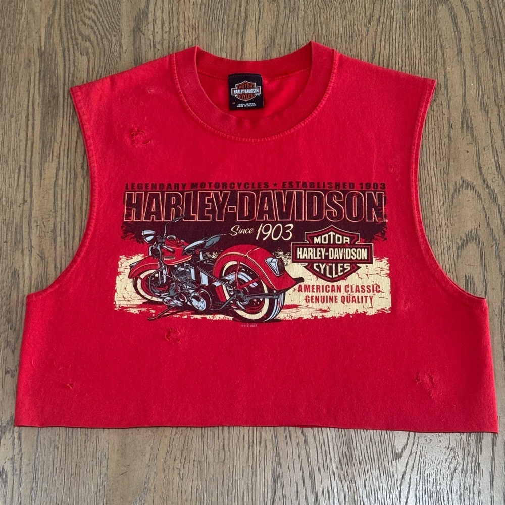 Harley Davidson Crop Top Distressed Sleeveless Y2K Boho muscle tank Medium